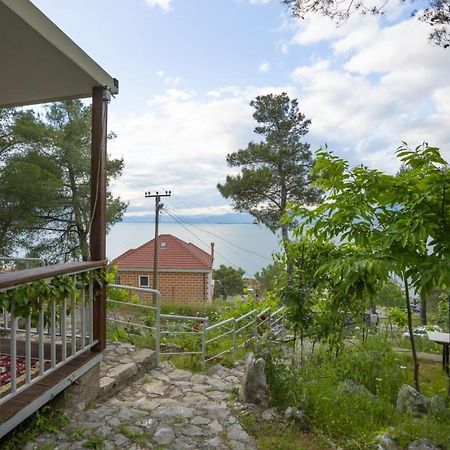 Among The Trees Villa Shiroka Exterior photo